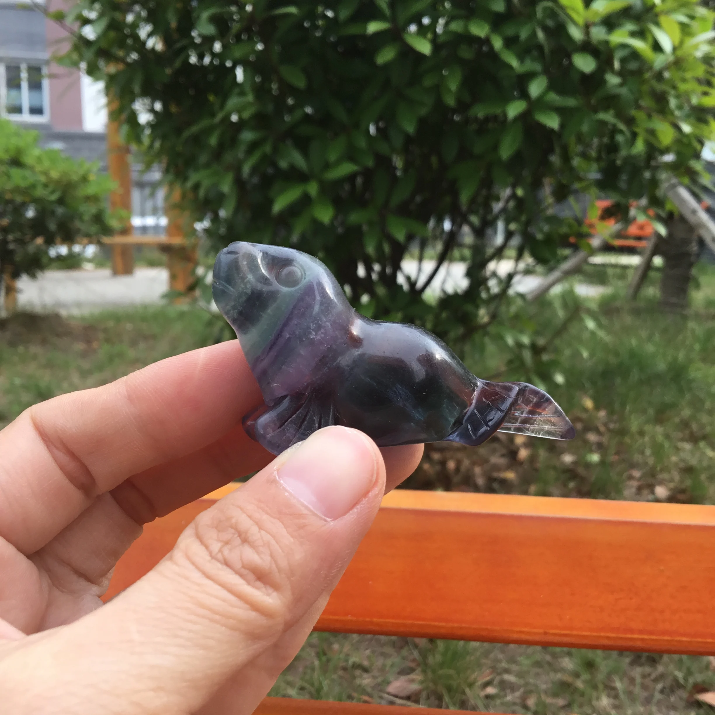 Высококачественный лечебный натуральный камень кристалл Морская собака