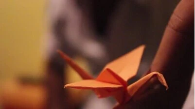 Crane Mojo by Paavan Buddhdev-Magic Tricks | Игрушки и хобби