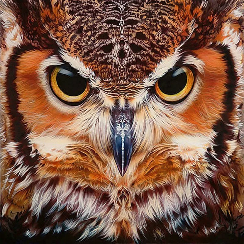 

Diamond Painting Owl Stickers Cross Stitch Uil Handmade Diy Mosaic Full Diamond Mural Crafts Round Diamond Home Decoration