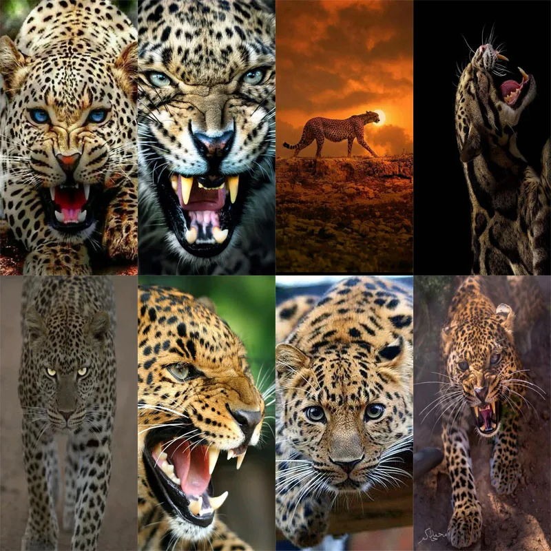 3D DIY Full Square Diamond painting living room decora rhinestone pictures picture Animal panther Unfinished Embroidery | Дом и сад
