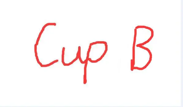Cup B A-C чашки силиконовые формы груди реалистичный ремень поддельные груди для косплея накладные груди увеличитель бюста для трансвеститов Модель груди - Цвет: Cup B