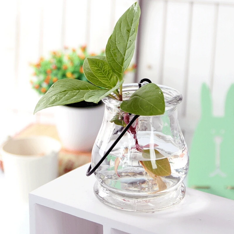 2 шт./пакет декоративные вазы большая инфузионная сумка или бутылка гидропонный