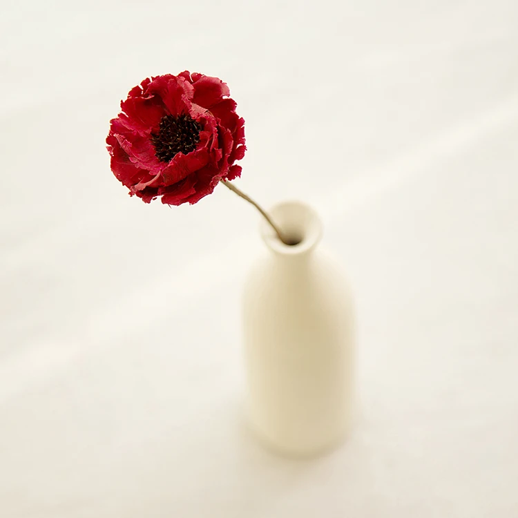 3 шт./лот высушенные цветы ручной работы натуральное растение антивыцветающая