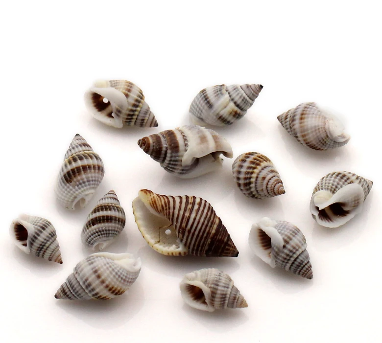 

Pendants Natural Spiral Sea Shell Conch Loose Spacer Beads Jewelry Findings 10x6mm-18x9mm 50Pcs