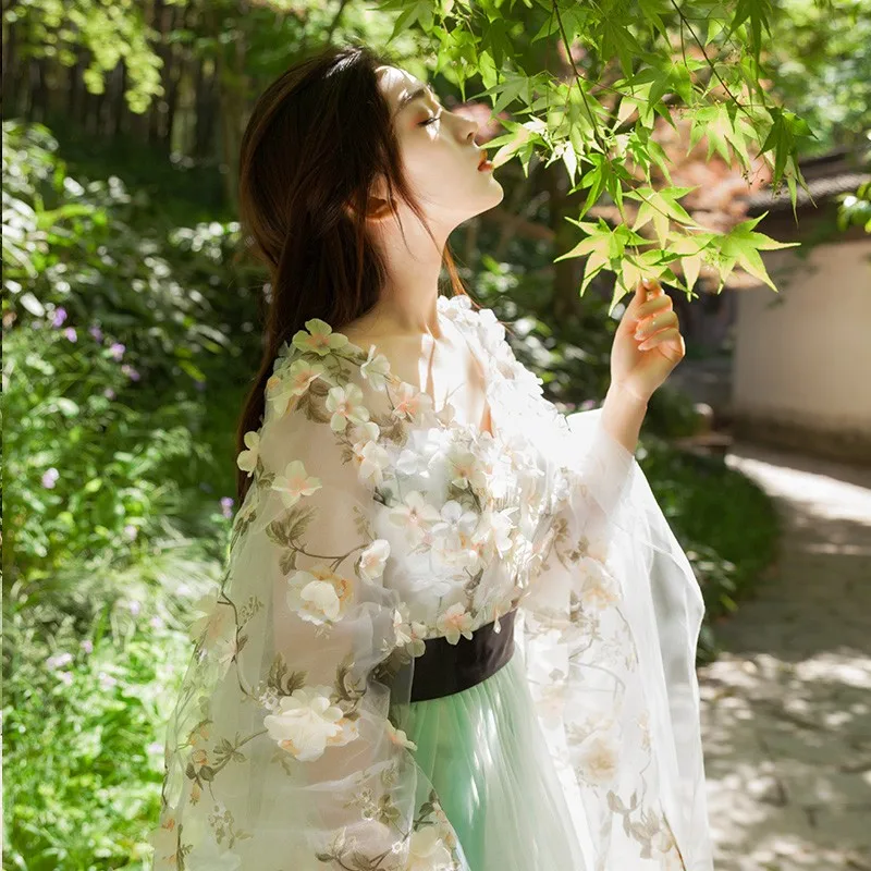 Сказка Косплэй Hanfu костюмы древний Китай Для женщин Взрослый платья принцессы вечерние нарядное с цветочным принтом для девочек, длинное платье