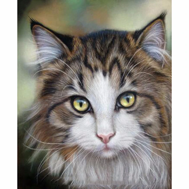 

Full Square/Round DIY Diamond Embroidery Cat 5D Diamond Painting Rhinestone Mosaic Decor HYY