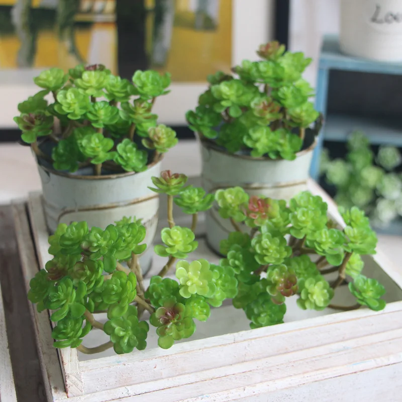 24 головки искусственные растения искусственный суккулент Landscape Land лотоса Редкие