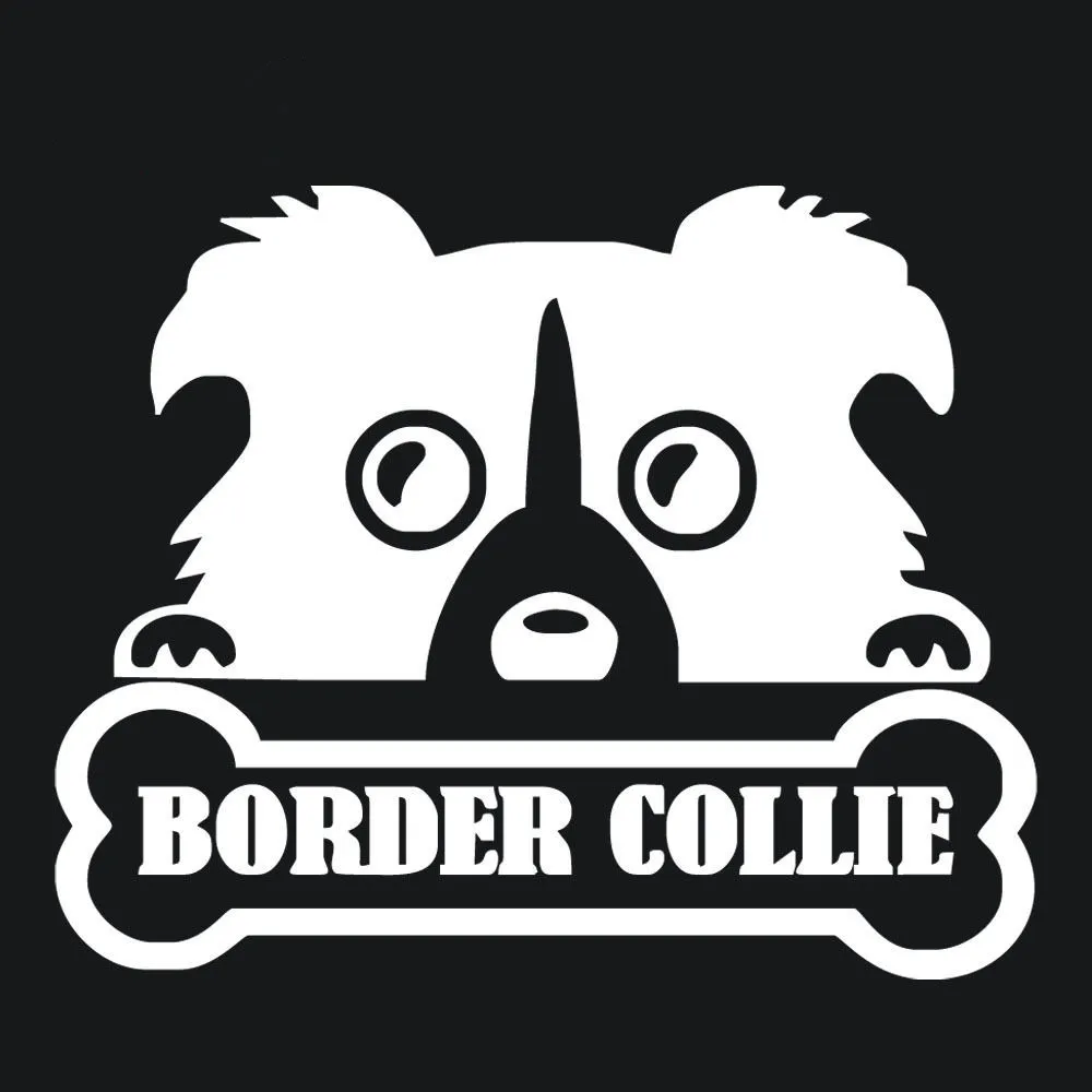 2016 Новинка колли наклейка собаки на стену автомобиля Стикеры кузова ветровое