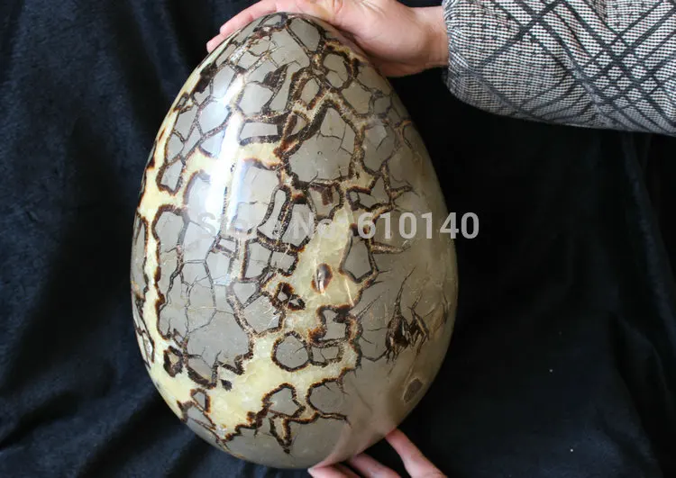 Огромный Натуральный Камень дракона Septarium Fossil Crystal Egg Healing | Дом и сад
