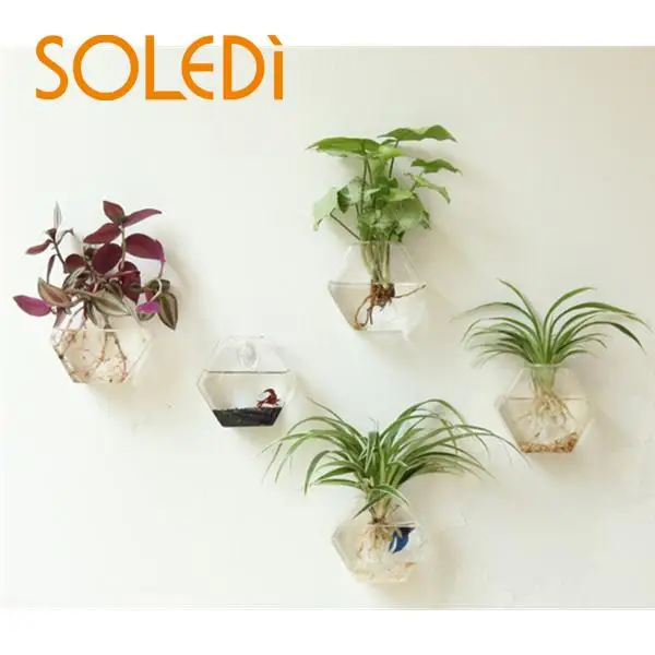 Домашний декор прозрачные конусные стеклянный цветочный горшок мини настенный