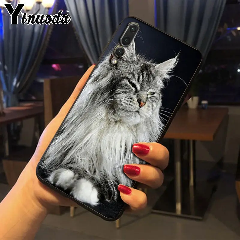 Yinuoda pet maine coon cat черный мягкий силиконовый чехол для телефона huawei p20 pro p20lite mate10pro nova