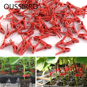 Красные пластиковые зажимы для прививки, опора для растений, лоза, садовые овощи, растения, подвесные пластиковые украшения для овощей, садовые украшения