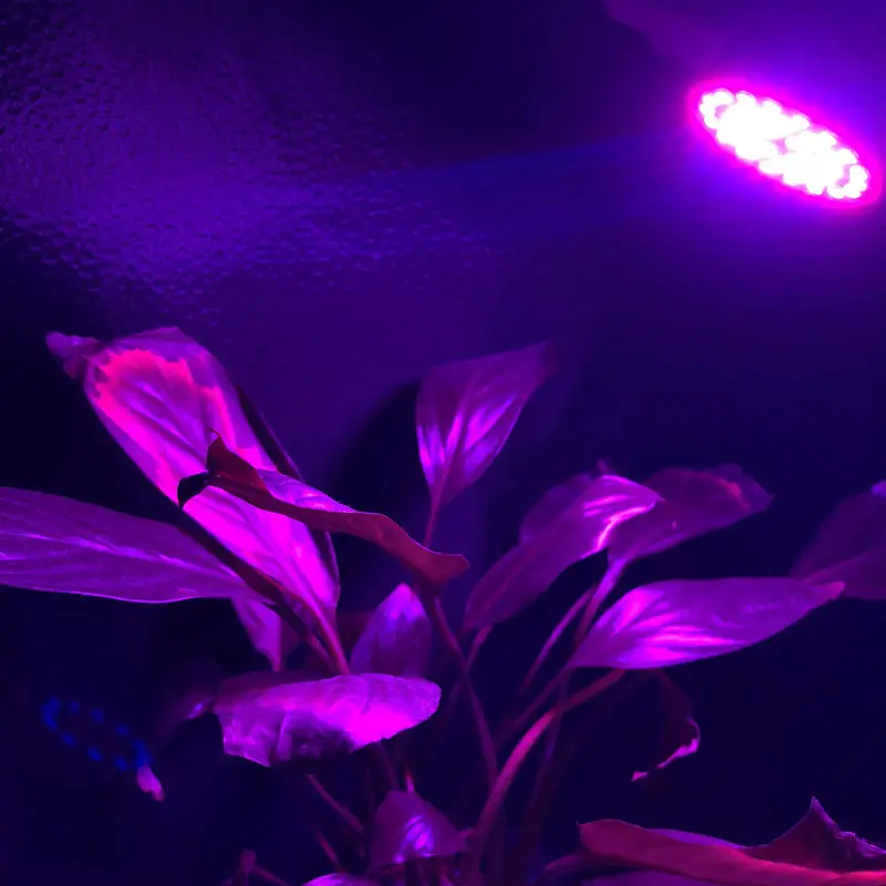 Full Spectrum LED Grow Light E27/GU10 Spotlight Lamp Bulb Flower Plant Greenhouse Hydroponics System 110V 220V Grow Box greenhouse led grow light e27 15w 21w 27w 36w 45w 54w led grow lamp for plants flower plant orchids seedlings hydroponics system