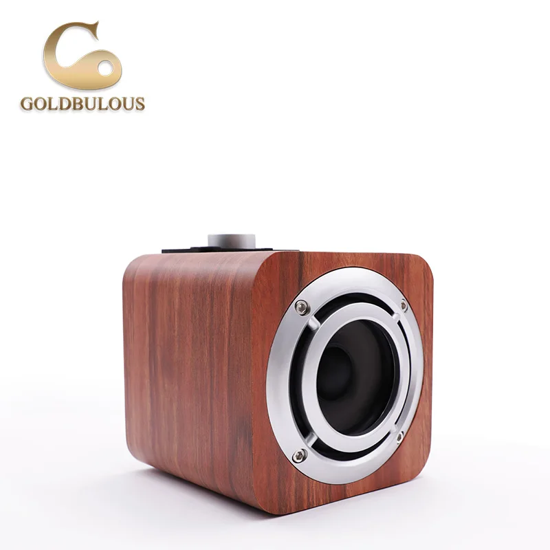 Goldbulous Bluetooth Динамик fm Радио 8 Вт Портативный Беспроводной мини PA Hi-Fi стерео звук