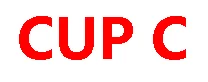 C CUP Вогнутые с круглым дном силиконовые формы груди поддельные грудь треугольник костюм для Трансвестит транссексуалов queen - Цвет: C CUP