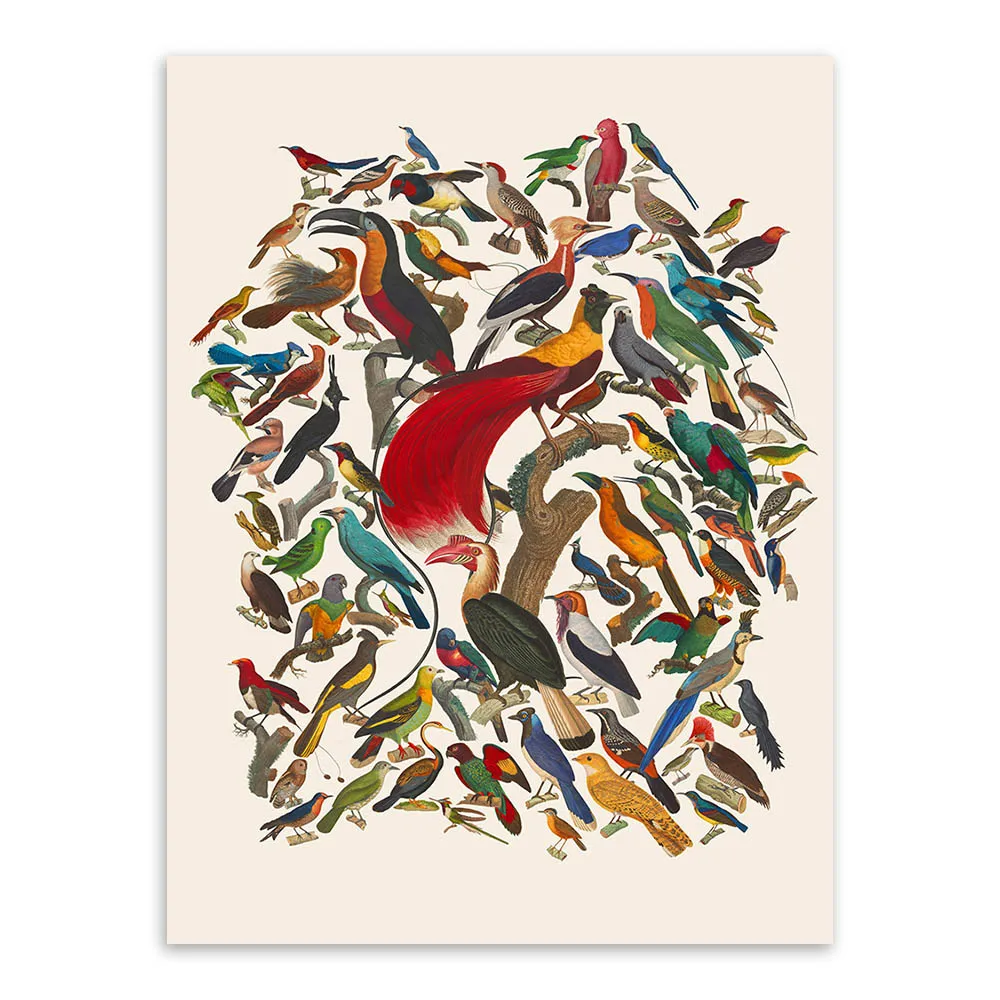 Триптих винтажный Ретро Акварель Птицы холст Художественная печать плакат