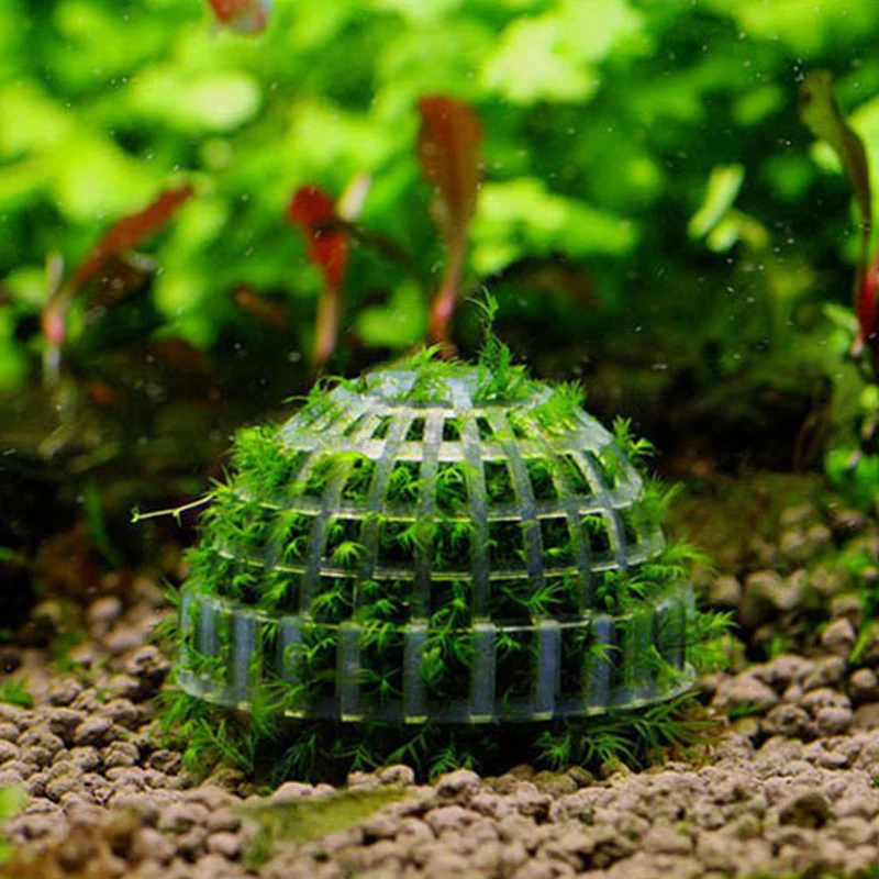 Аквариум украшения зеленый для живых растений Fish Tank медиа мох мяч фильтр для аквариума домашних животных минеральные шарики украшения