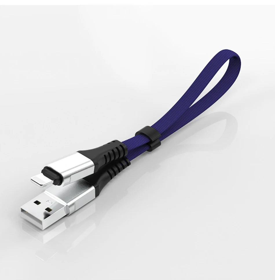 ACCEZZ USB зарядный кабель для передачи данных освещение для iphone XS MAX XR X 8 7 6 6S 5S Plus зарядный кабель для iPad Mini короткий, для зарядного устройства