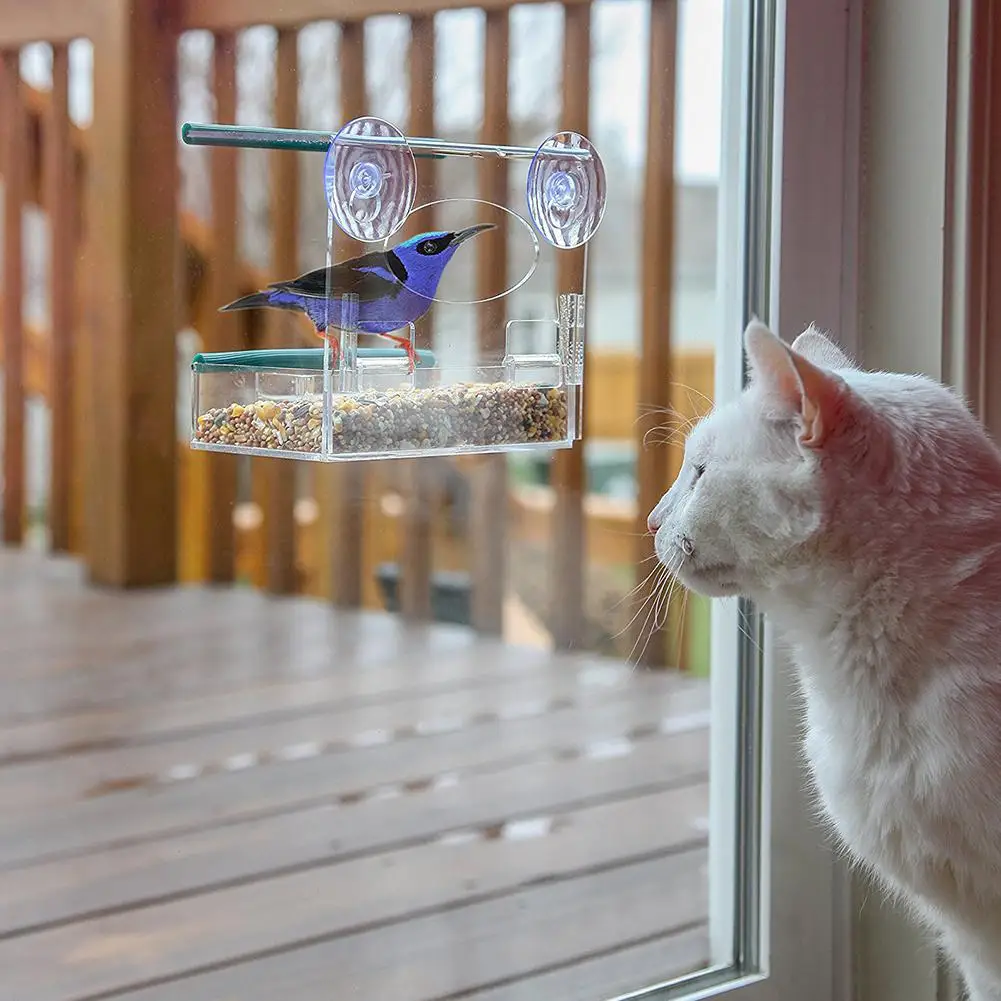 Ни одна акриловая домашние птицы кормушка для еды плексиглас клетка кормления