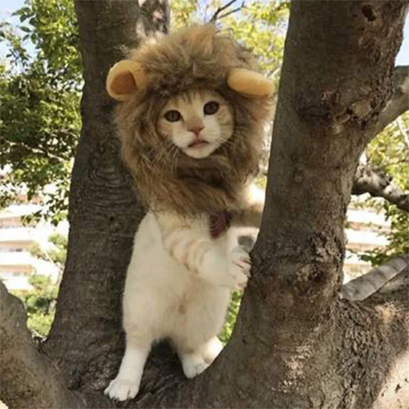 Костюм кота парик льва грива Хэллоуин наряды головные уборы с ушками фото