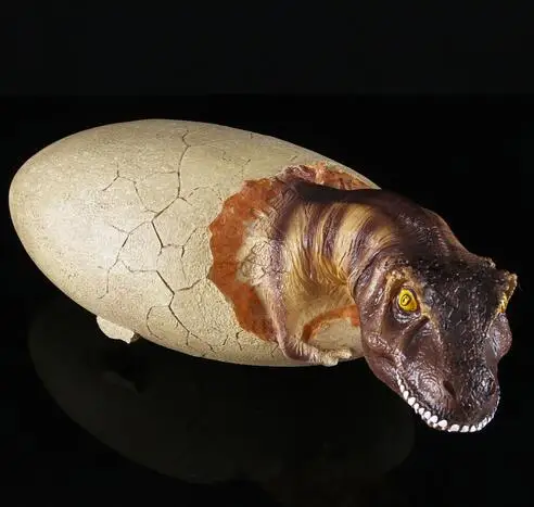 

Animal skull resin simulation dinosaur egg model dinosaur skeleton fossil egg hatching dinosaur placement