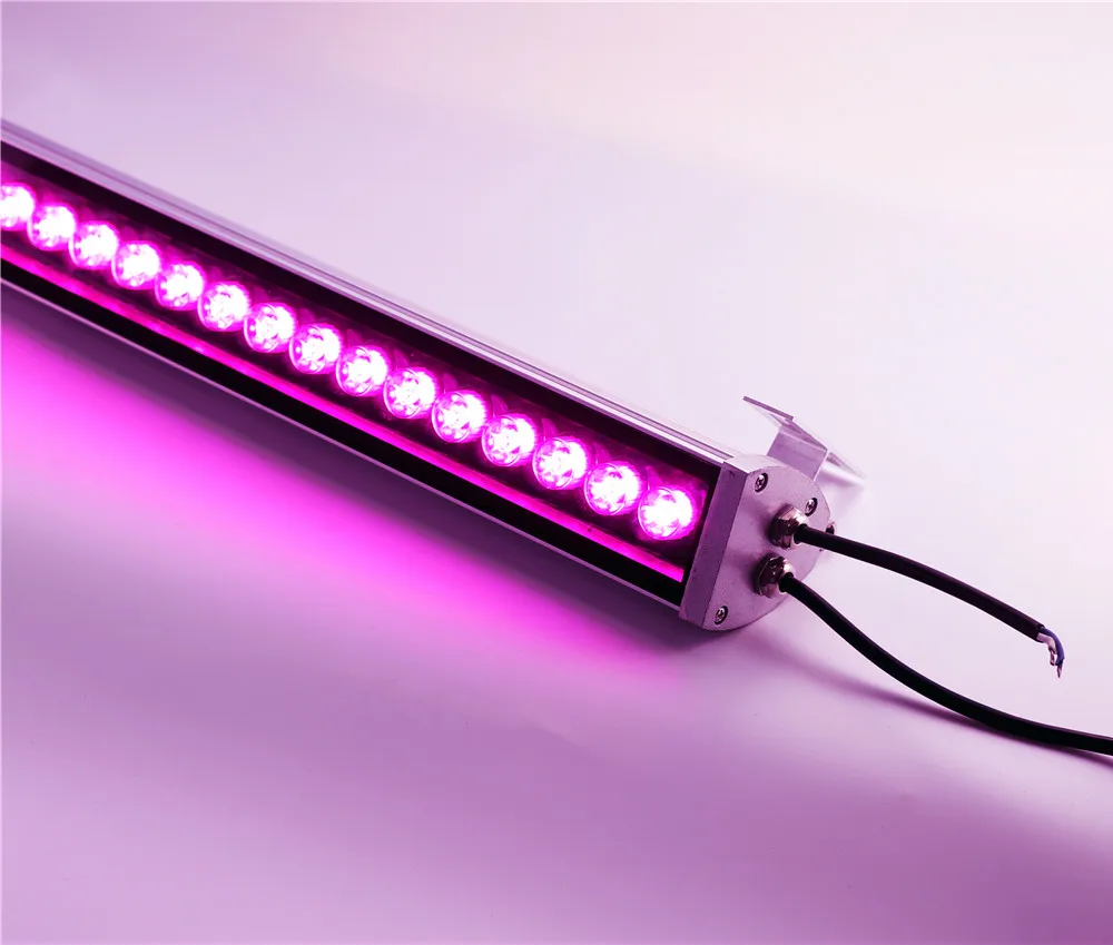 

Professional Light