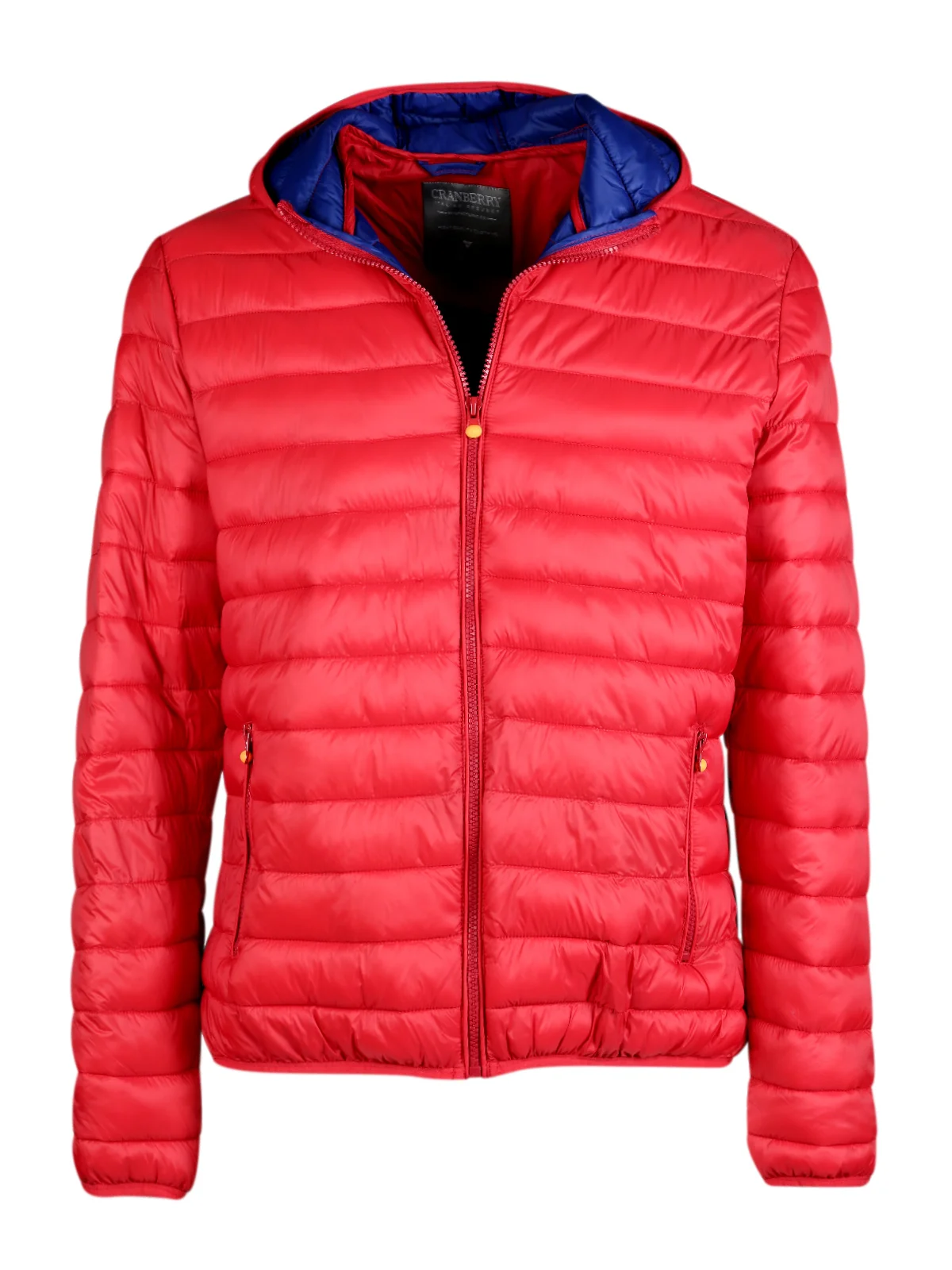 Модель куртки 100 г с капюшоном|Мужские куртки| |