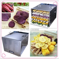small type and best selling 10 trays dryer for vegetable and fruits