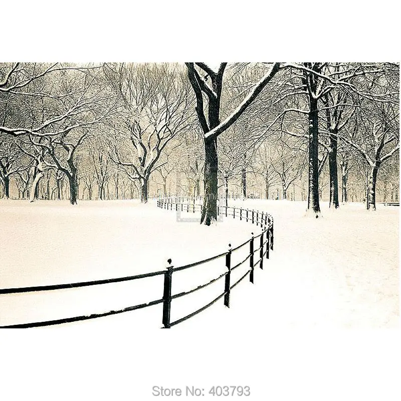 

Unframed Central Park Snow Landscape oil painting Or Various Sizes Hand Painted Famous Modern Wall Decoration