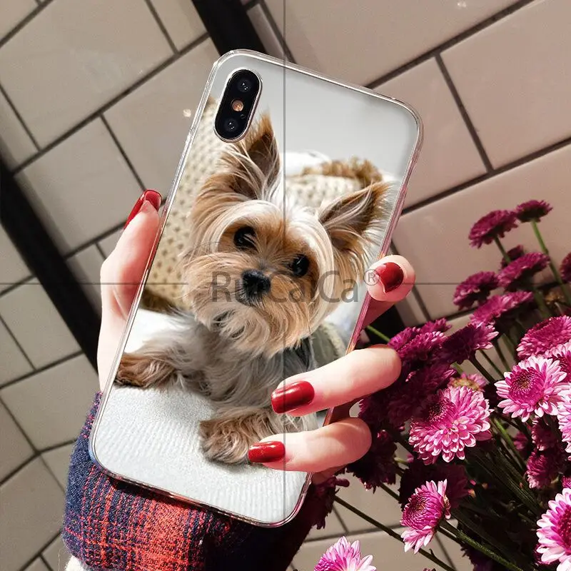 Умный чехол Ruicaica йоркширского терьера для Apple iPhone 8 7 6 6S Plus X XS MAX 5 5S SE XR | Мобильные