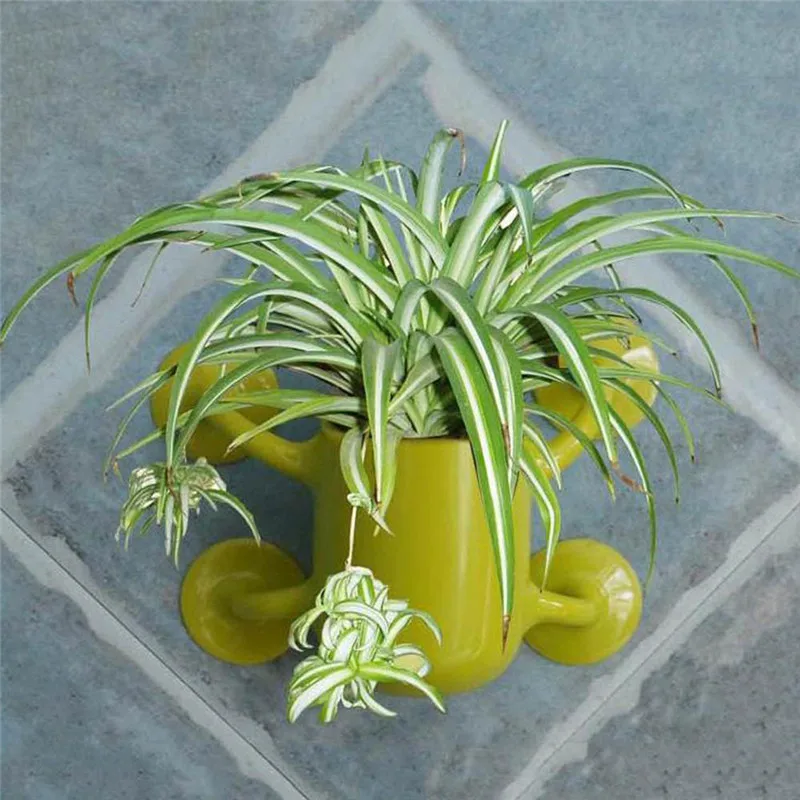Цветочный горшок держатель для миски с присоской креативной стеклянной