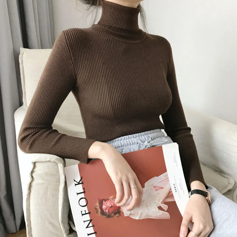 Thick Turtleneck Warm Women Sweater Autumn Winter Knitted Femme Pull High Elasticity Solid Soft Female Pullovers | Женская одежда