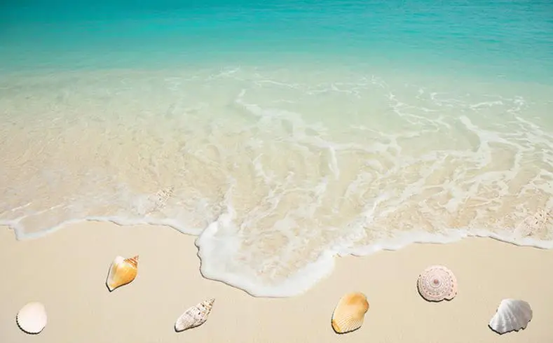 3d обои водонепроницаемый Пляж оболочки фон пол для ванных комнат | Обустройство