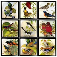beauty vintage birds magpie square glass cabochon 10pcs mixed 12mm20mm25mm30mm size flat back diy jewelry findings fb0042