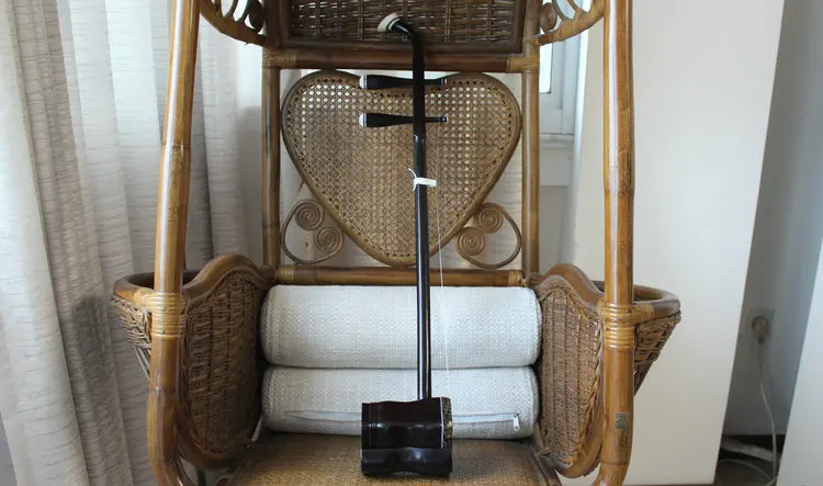 Китайский erhu оптовая продажа суперхороший питоновый кожа превосходный голос