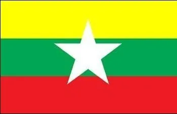 Национальный флаг мира полиэстер печатные флаги и баннеры из Мьянмы 3*5 футов