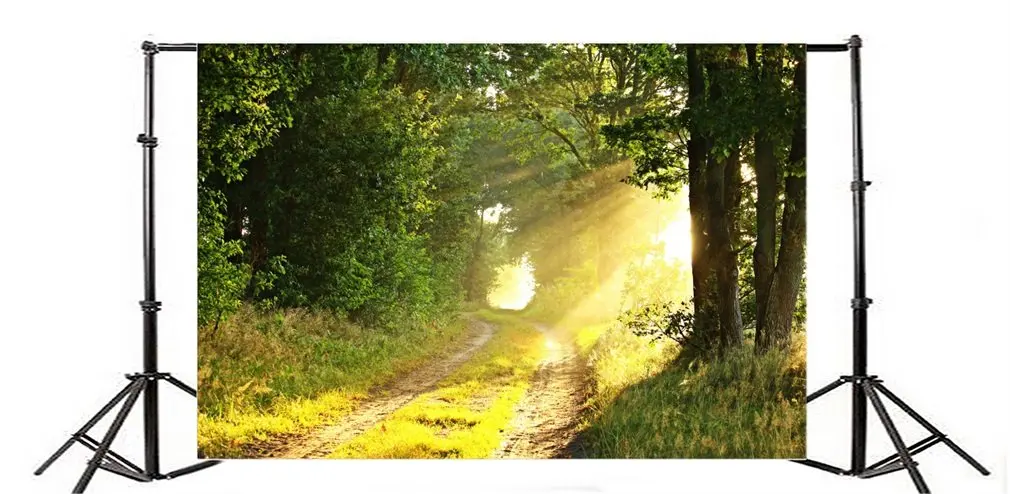 

Photography Backdrop Forest Landscape Path Sunlight