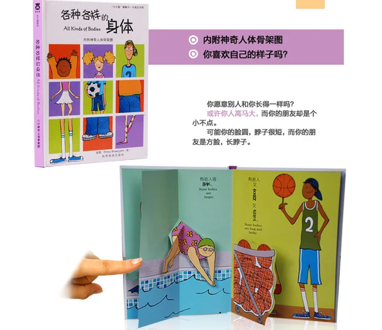6 шт./компл. 3D книга с откидной крышкой двуязычная китайско-английским
