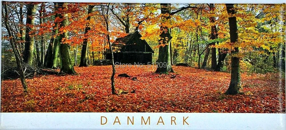Магнит на холодильник DANMARK прямоугольник деревенский старый замок Дочь моря