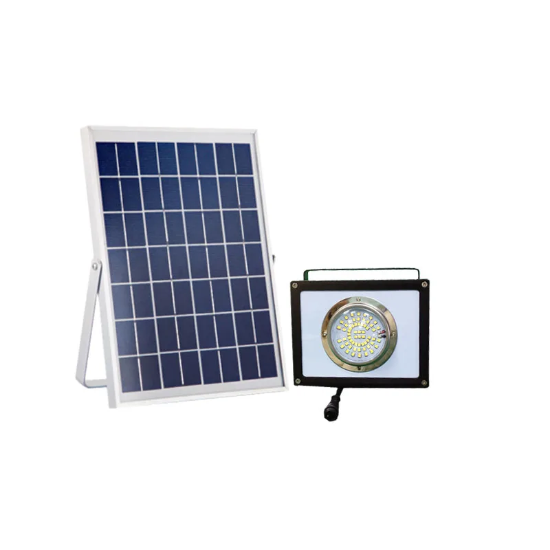 Солнечный свет наводнения Отдых на природе света безупречное качество