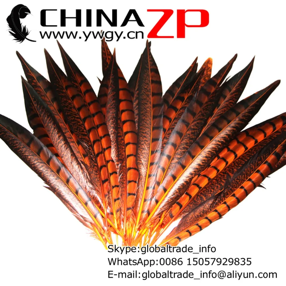 

Top Class Plumage Exporting 200pcs/lot 30-35cm Length Dyed Orange Lady Amherst Pheasant Feathers from CHINAZP Factory