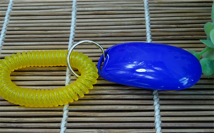 200 шт. помощь для тренировки собак и домашних животных + ремешок на