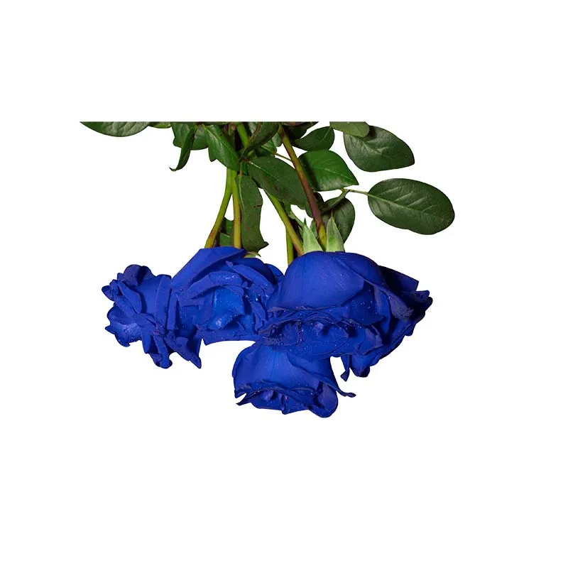 ZTTZDY 23.4*18.6CM Blue Enchantress Rose Classic Toilet Seat Stickers Home Living Room Wall Decor T2-0409 | Дом и сад