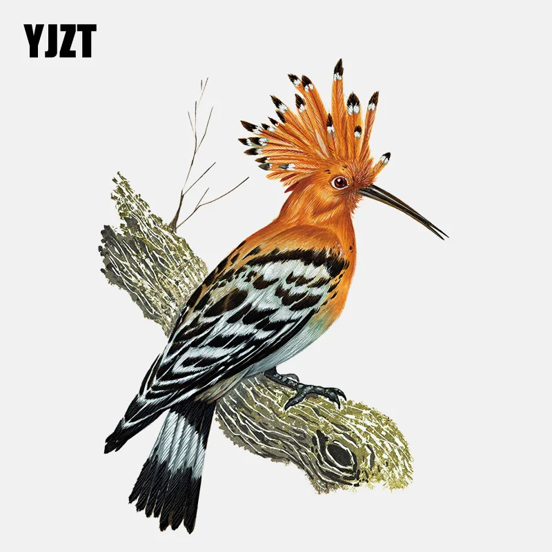 YJZT 12 3 см * 16 6 Hoopoe желто коричневая декоративная наклейка на окно из ПВХ 11