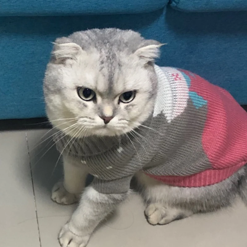 Зимняя теплая одежда для домашних животных, котов изображением кота из мультика для кошек Kedi Katten пуловер домашних животных Костюмы Mascotas Gotas костюм vetement чат