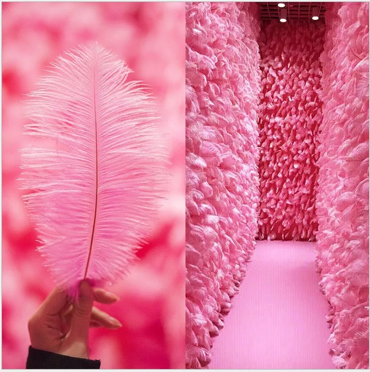 

free shipping white pink ostrich feathers wedding favor birthday party decoration 2.4m2.4m feather wall Backdrops photo pops