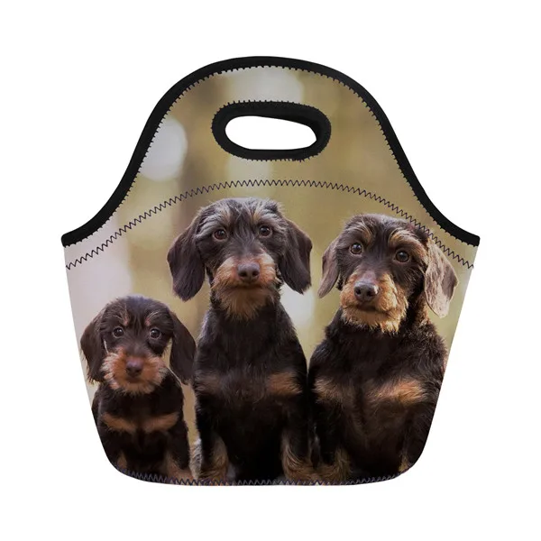XM2092Z20 Twoheartsgirl милый Dachshunds напечатанный неопреновый мешок для завтрака для женщин дети Термоизолированный Ланч-бокс сумка-тоут Портативный Ланч-мешок - Цвет: XM2092Z20