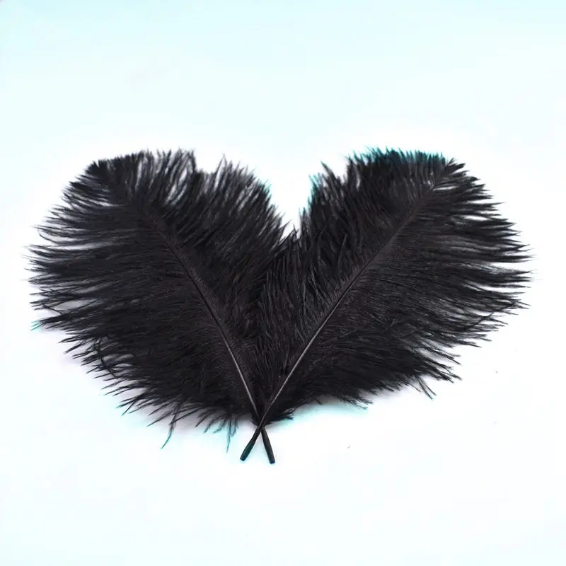 10 шт./лот натуральные разноцветные перышки страуса для поделок 15 20 см черное перо