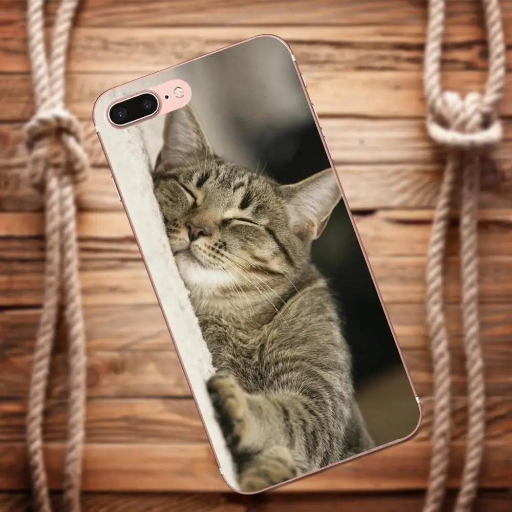 Vvcqod сонный котенка для Apple IPhone X 4 4S 5 5C 5S SE 6 S 7 8 Plus Moto G G2 G3 мягкий из термопластика