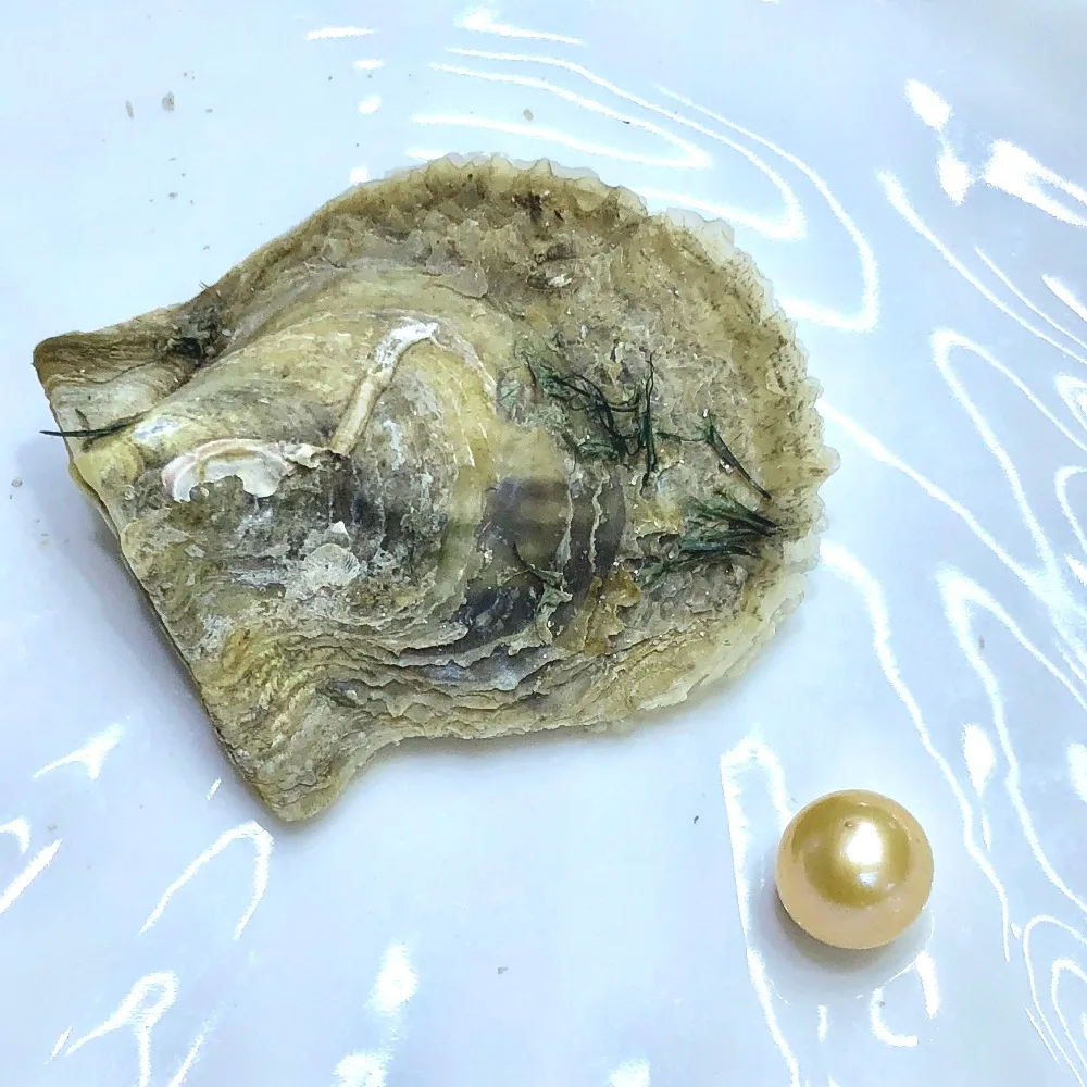 Akoya Oysters с одним Эдисоном круглый жемчуг бусины 9-12 мм Смешанные 26 цветов Эдисона жемчуг устрицы вакуумной упаковки FP011